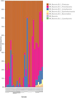 Evaluation of the Relationships Between Microbiota and Metabolites in Soft-Type Ripened Cheese Using an Integrated Omics Approach